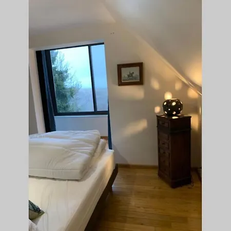 Parador Vert *